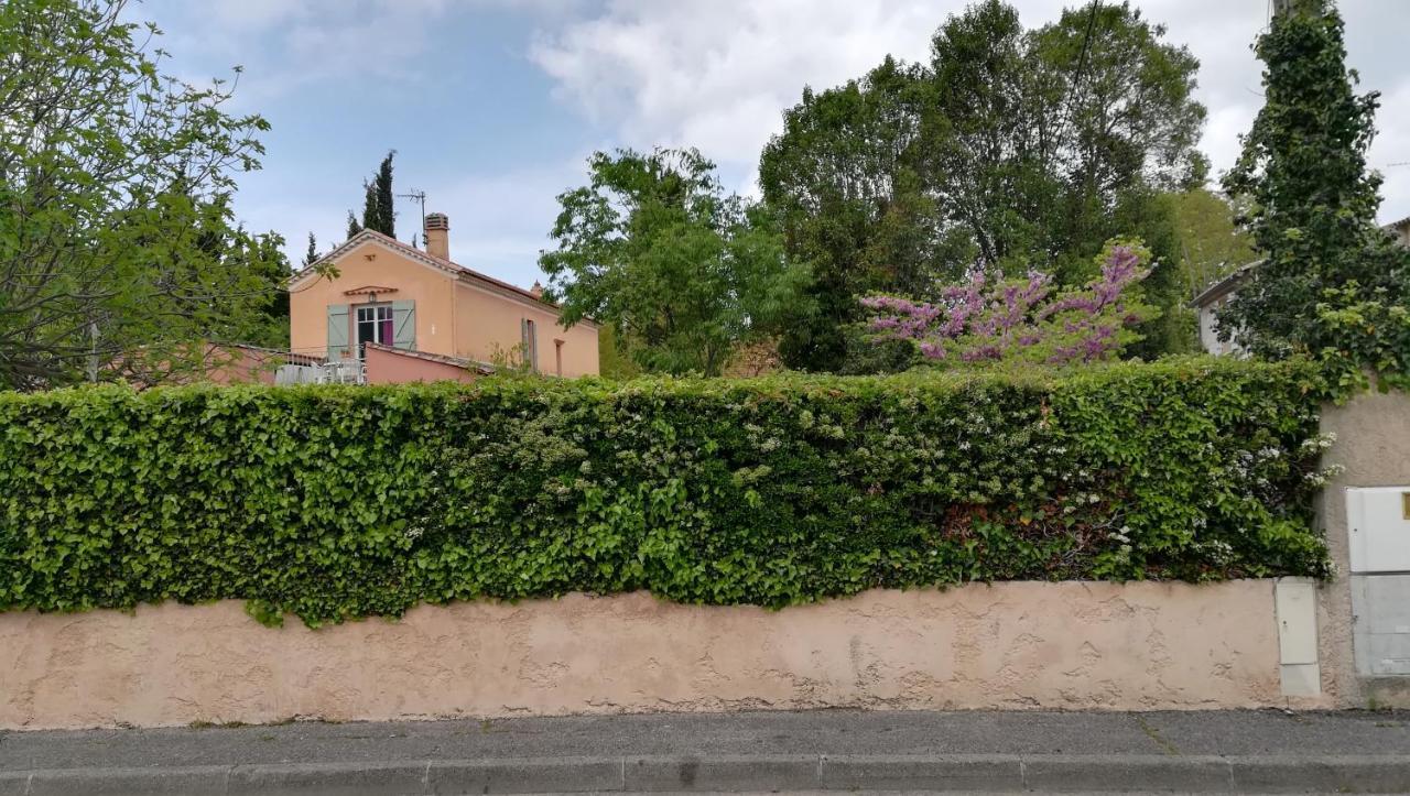 Lolifan En Provence Bed & Breakfast Brignoles Exterior photo